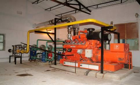 Gas Engine Gen-SET(Gauscor, S.A., Spain)