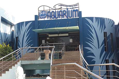 Aquarium Image 2