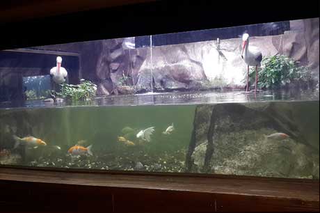 Aquarium Image 8